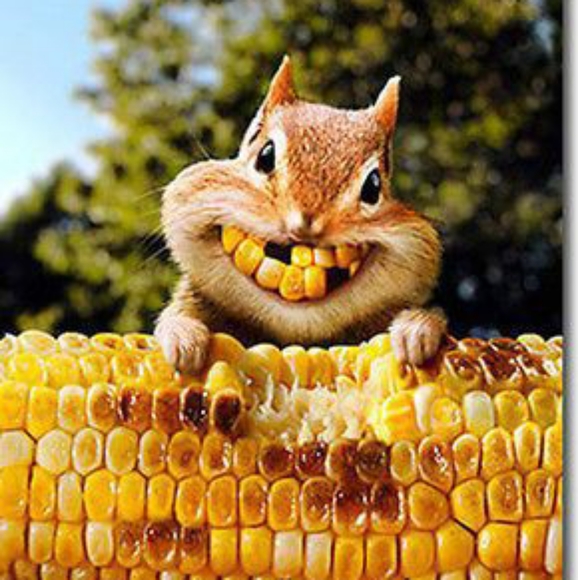 Huge Doggie or Kids Comfy Bed "CANNOT BE BUNDLED" - Picture 5 of 6